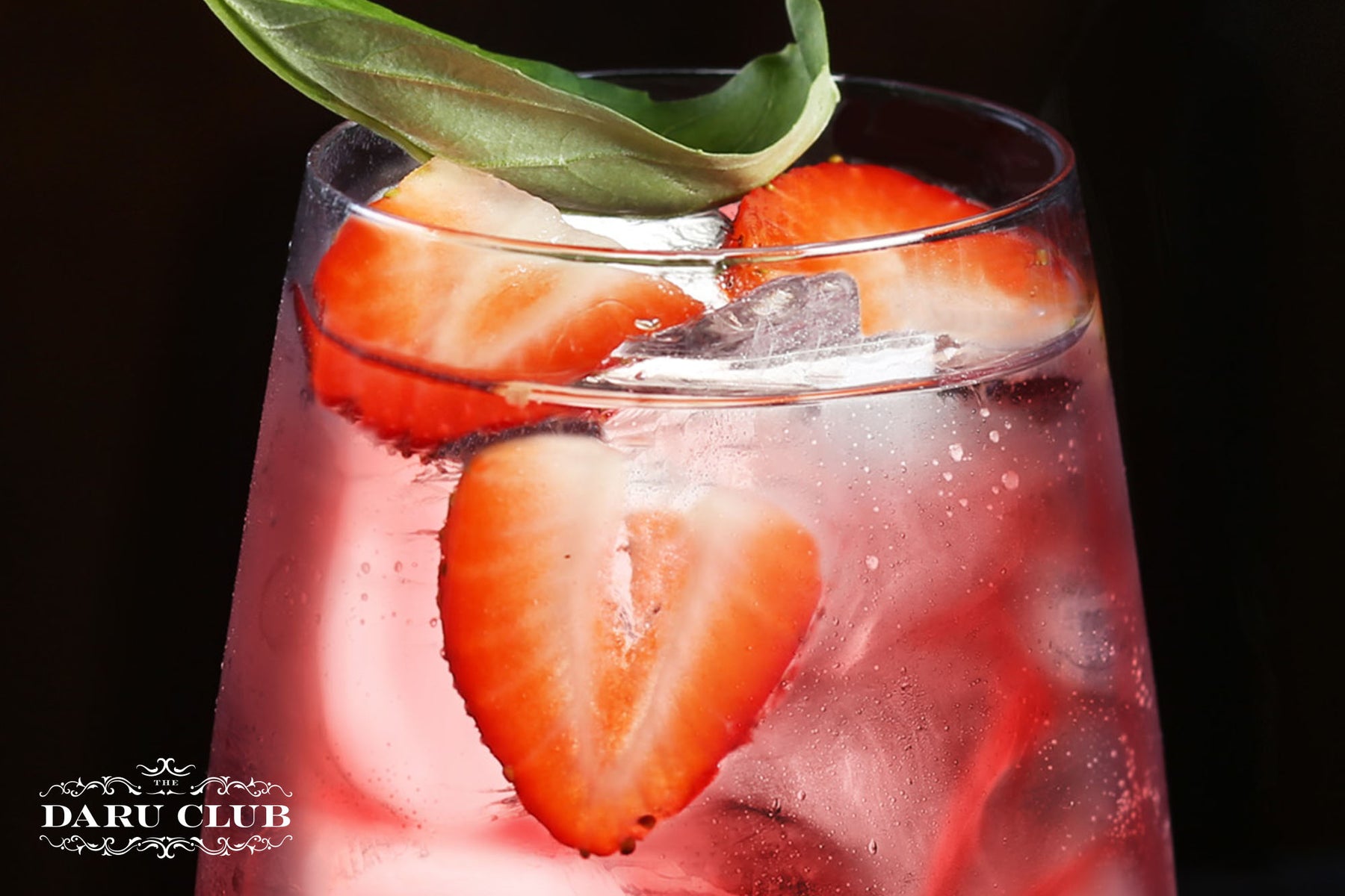 Rosa & Tonic cocktail - a traditional Italian aperitivo